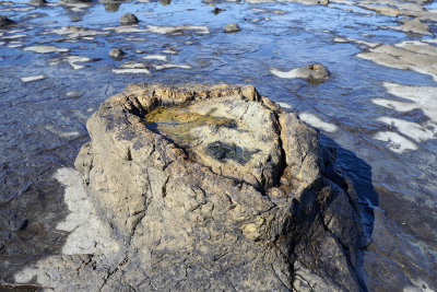 DSC_8209.jpg