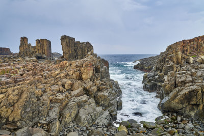 DSC_8398.jpg