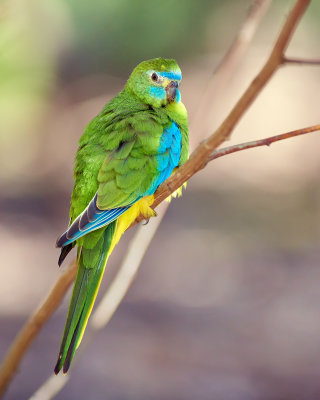 DSC_5987.jpg
