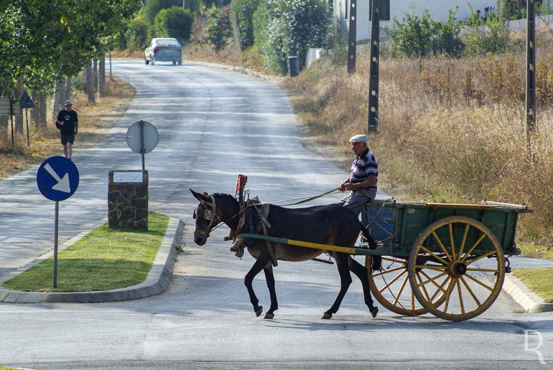 As Carroas Algarvias