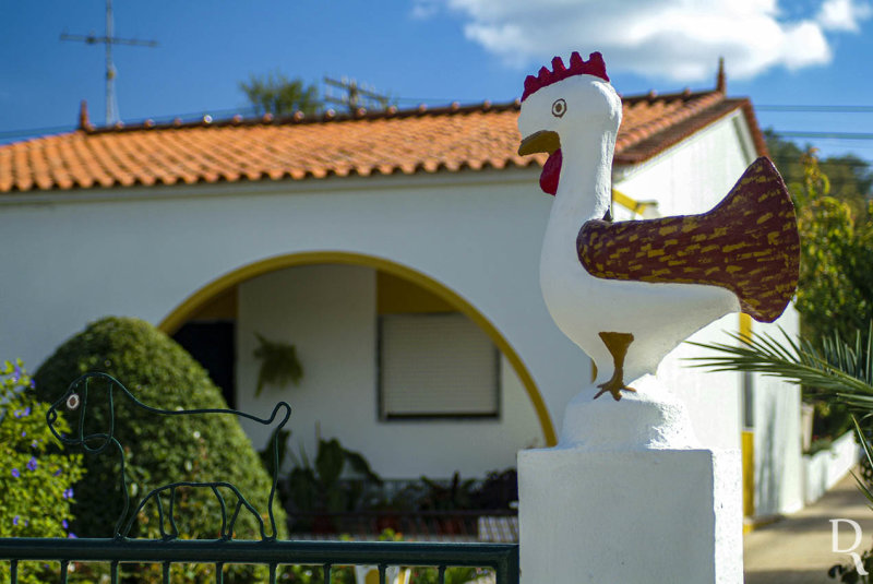 Casa & Decorao
