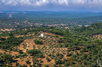 Uma Casinha no Campo