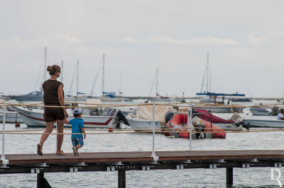 A Ria Formosa Junto a Faro