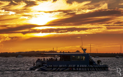 A Ria Formosa Junto a Faro