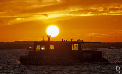 A Ria Formosa Junto a Faro