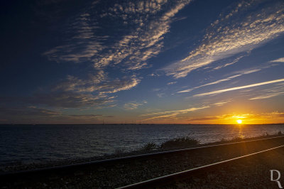 A Ria Formosa Junto a Faro