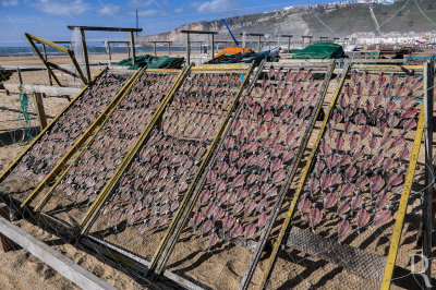 O Estindarte de Secagem de Pescado