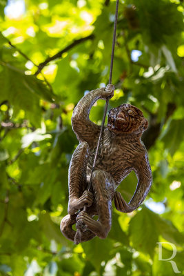 Aldeia dos Macacos