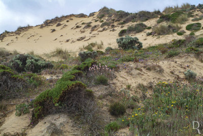 Parque Natural da Costa Vicentina