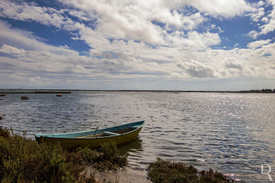 A Ria Formosa Junto a Faro