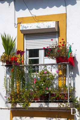 Janelas de Abrantes