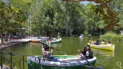 O Parque D. Carlos I em 3 de julho de 2022