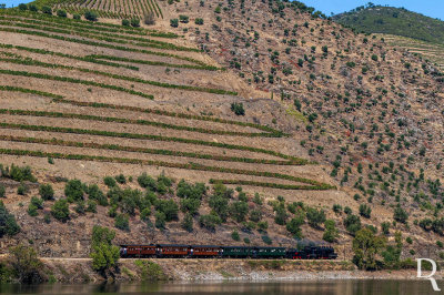 O Comboio Turstico do Douro