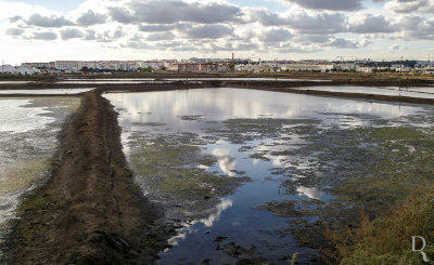 Tavira e a Ria Formosa