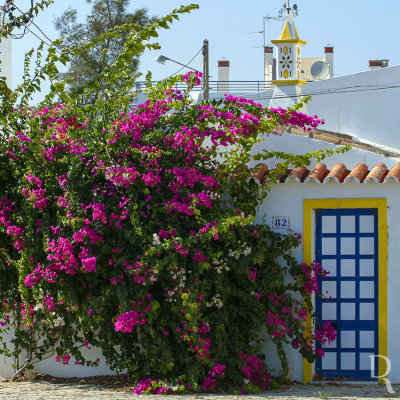 Tavira