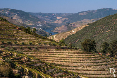 O Douro em Tabuao