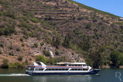 The River Douro