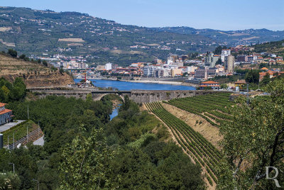 O Alto Douro Vinhateiro no Distrito de Vila Real