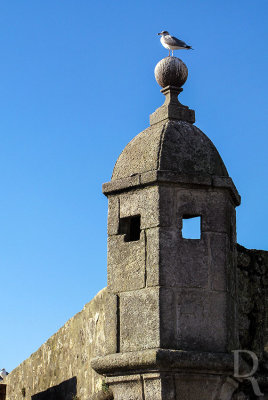 Forte da Lagarteira (IIP)