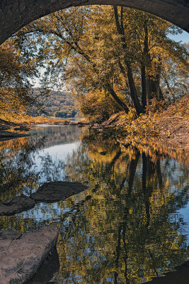 Fall Reflections