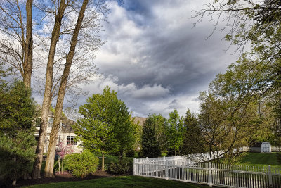 Spring in Suburbia