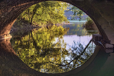 Through the Looking Glass 2021