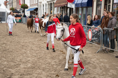 748e Viaanse Paardenmarkt