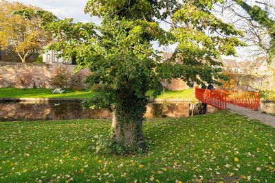 Vrijstad Vianen in herfstkleuren