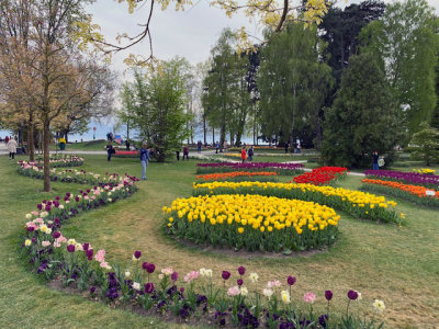 Switzerland - Tip-toe....thru the Tulips..at Morges!