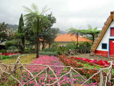 COLOURFUL GARDEN