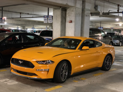 2019 Ford Mustang, which I rented for 8 days in Florida  (1237)