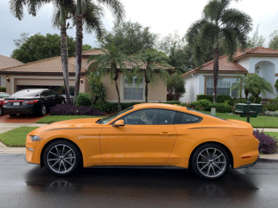 Orange 2019 Ford Mustang stood out in Florida, while my other rental car, a black 2019 Porsche 911, was barely noticed. (1246)