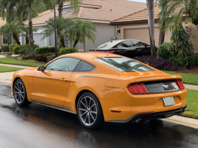 2019 Ford Mustang, one month old and loaded with all the bells and whistles. I liked and enjoyed it. (1247)