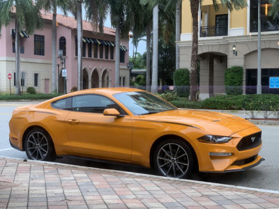2019 Ford Mustang in Boca Raton, Florida, photographed through glass wall of a restaurant (1275)