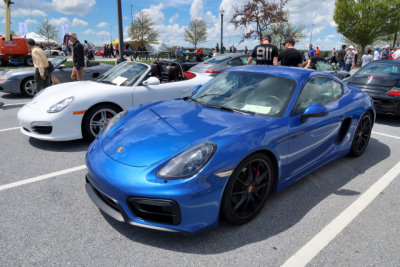 Cayman GTS (981) in Sapphire Blue, Peoples' Choice Concours, Porsche Swap Meet in Hershey, PA (3382)