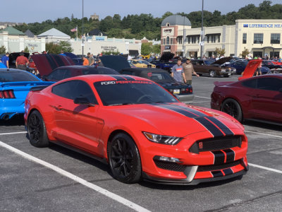 Ford Shelby GT350 Mustang (1774)