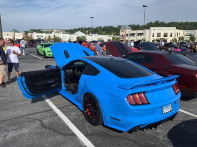 Ford Shelby GT350 Mustang in Grabber Blue (1776)