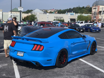 Ford Shelby GT350 Mustang in Grabber Blue (1793)