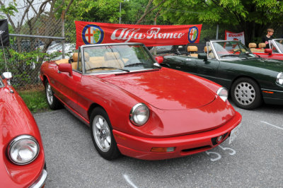 Alfa Romeo (6137)