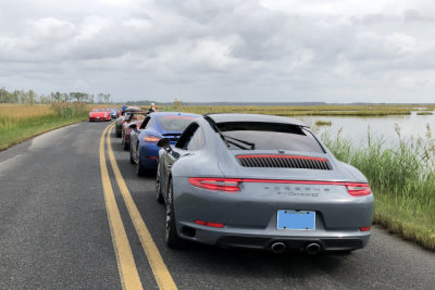 Eastern Shore Tour in Maryland's Blackwater National Wildlife Refuge (Photo courtesy of Ron Farb)