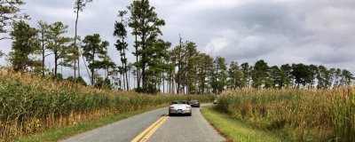 Eastern Shore Tour in Maryland's Blackwater National Wildlife Refuge (Photo courtesy of Eve S.) (1866)