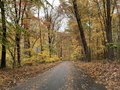 PCA Chesapeake's 2019 Fall Colors Tours -- Oct. 27 & Nov. 2