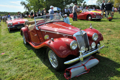 1954 MG TF Roadster, 1 of 9,600 TFs produced from 1953 to 1955,  final iteration of T-series, Donald Pohlig, Malvern, PA (7020)