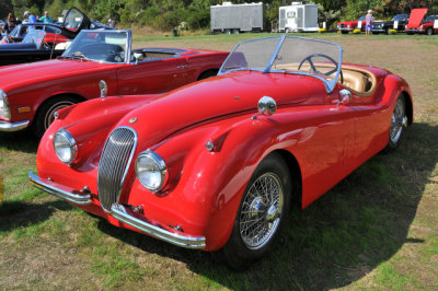 1954 Jaguar XK120 Roadster, Nick & Buzzi Cannistraro, Annapolis, MD (7698)