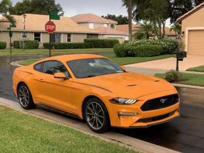 My rental 2019 Ford Mustang attracted praises and thumbs-up signs nearly everywhere I went in the Sunshine State. (1245)