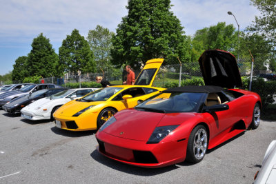 2011 Vintage Ferrari Event, Lamborghinis (8839)