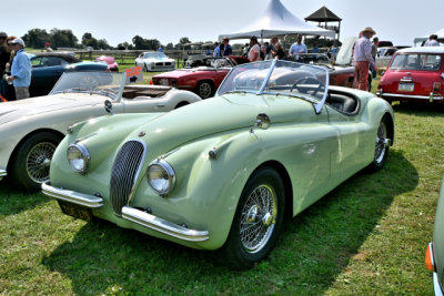 Early 1950s Jaguar XK120 (0351)