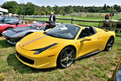 Ferrari 458 Spider (0384)