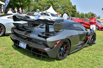 McLaren Senna (0396)