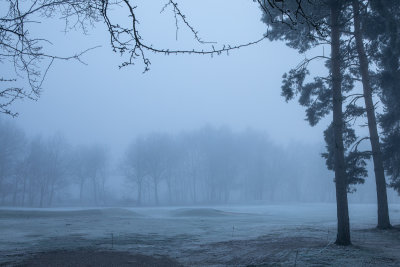 Foggy Golf Course